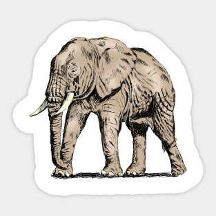 Elephant Print Sticker